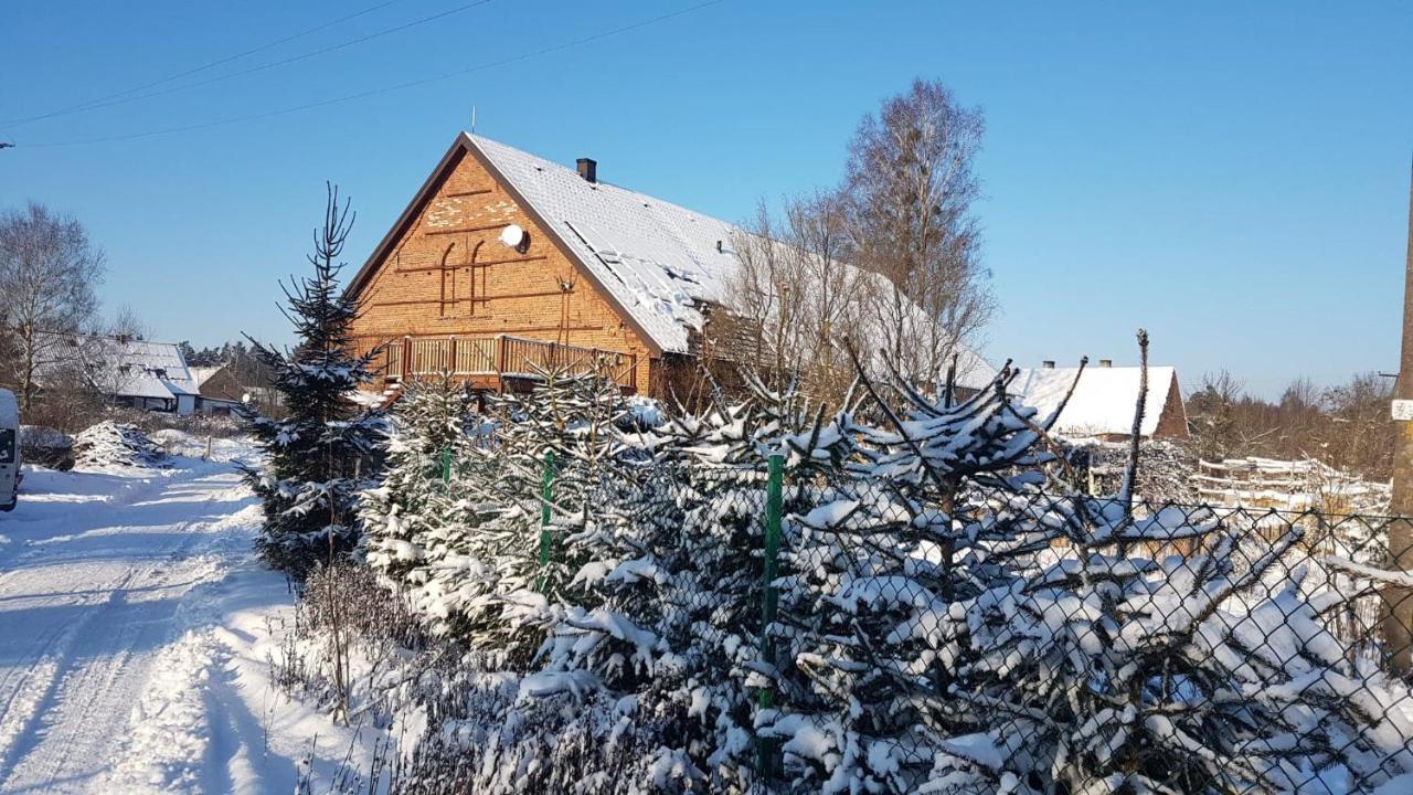 Brzeziniec Dziewanna 아파트 외부 사진