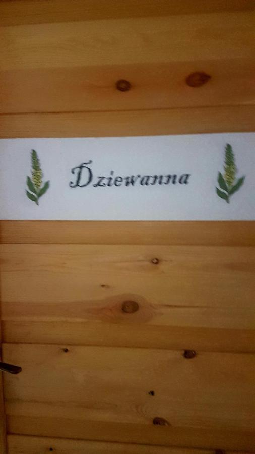 Brzeziniec Dziewanna 아파트 외부 사진
